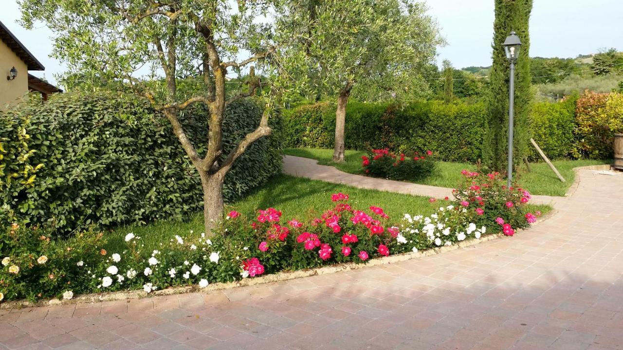 Valle Del Metauro Country House Montemaggiore al Metauro Buitenkant foto